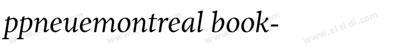 ppneuemontreal book字体转换